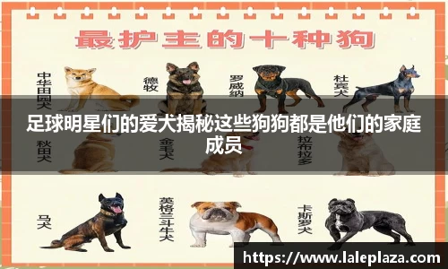 足球明星们的爱犬揭秘这些狗狗都是他们的家庭成员